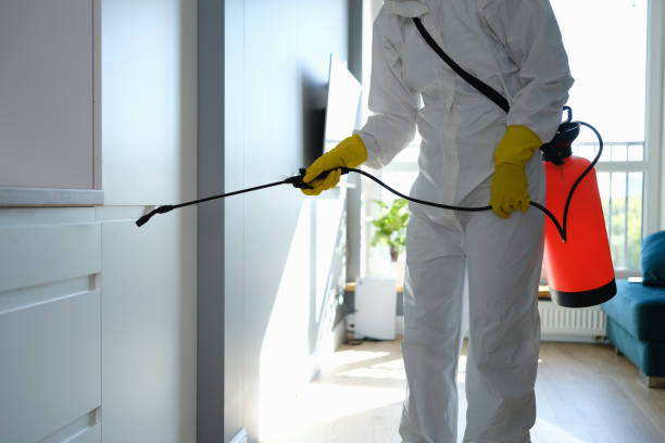 Home Mold Removal in Reese, MI
