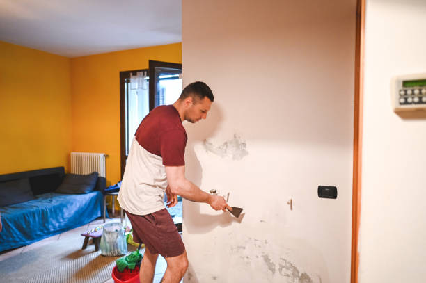 Best Mold Damage Repair  in Reese, MI